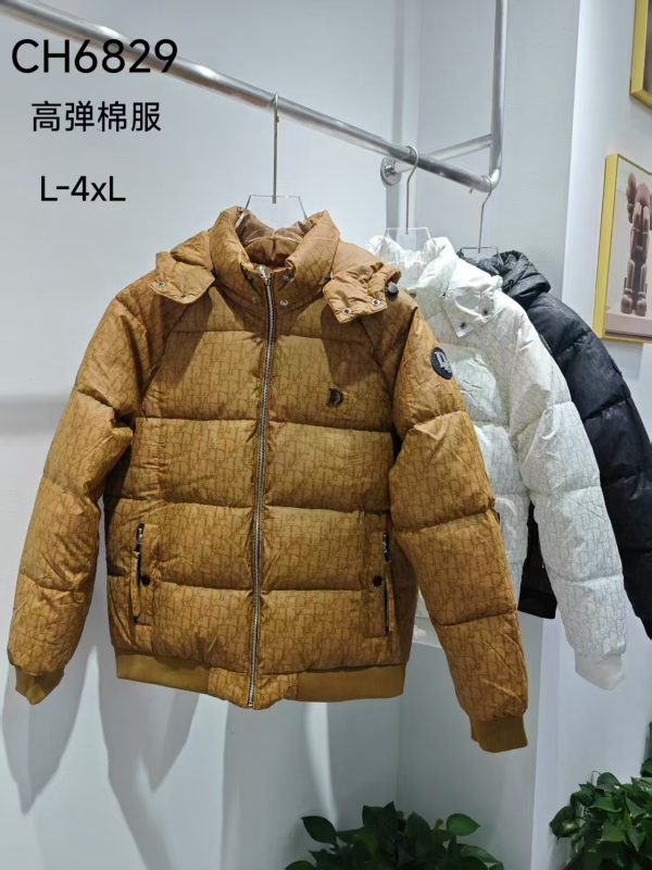 Men's down jackets