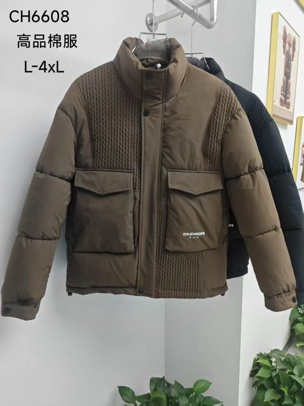 Men's down jackets