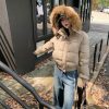 winter fur coat for ladies