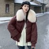 winter fur coat for ladies