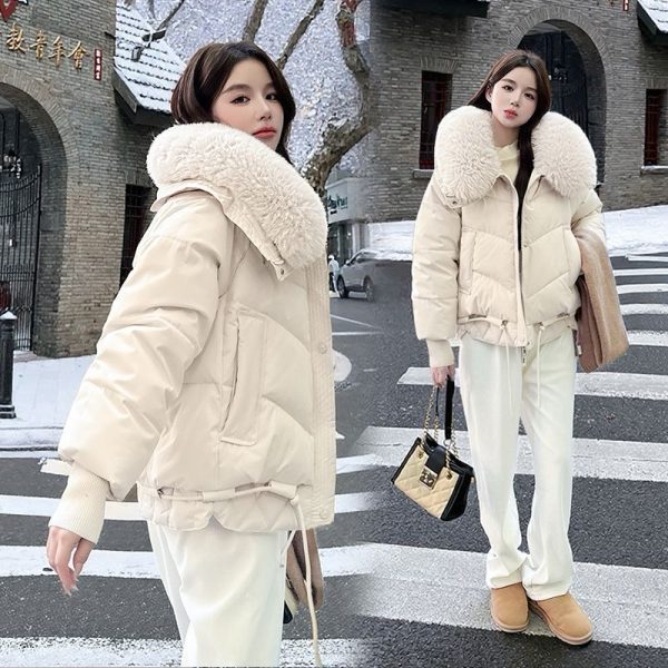 winter fur coat for ladies