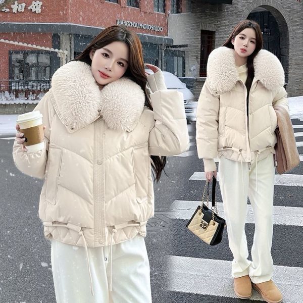 winter fur coat for ladies