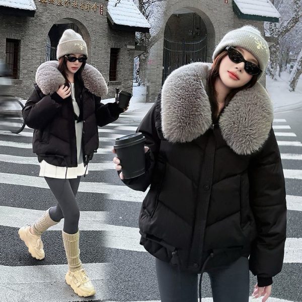 winter fur coat for ladies