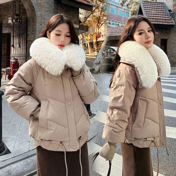 winter fur coat for ladies